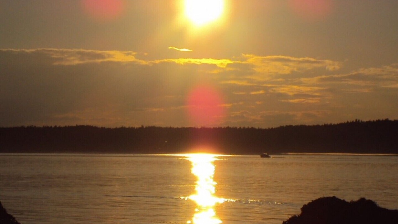 Photo of Others in Campobello Island