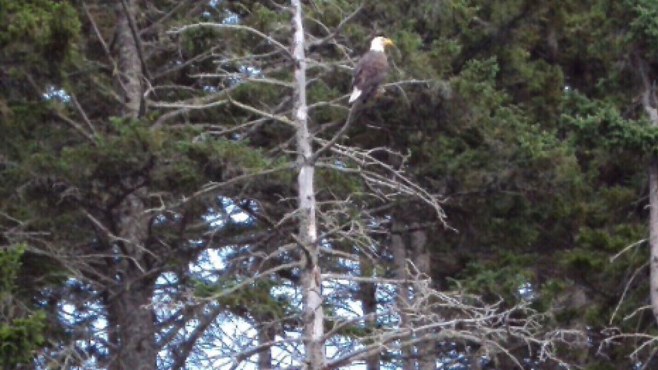 Photo of Others in Campobello Island