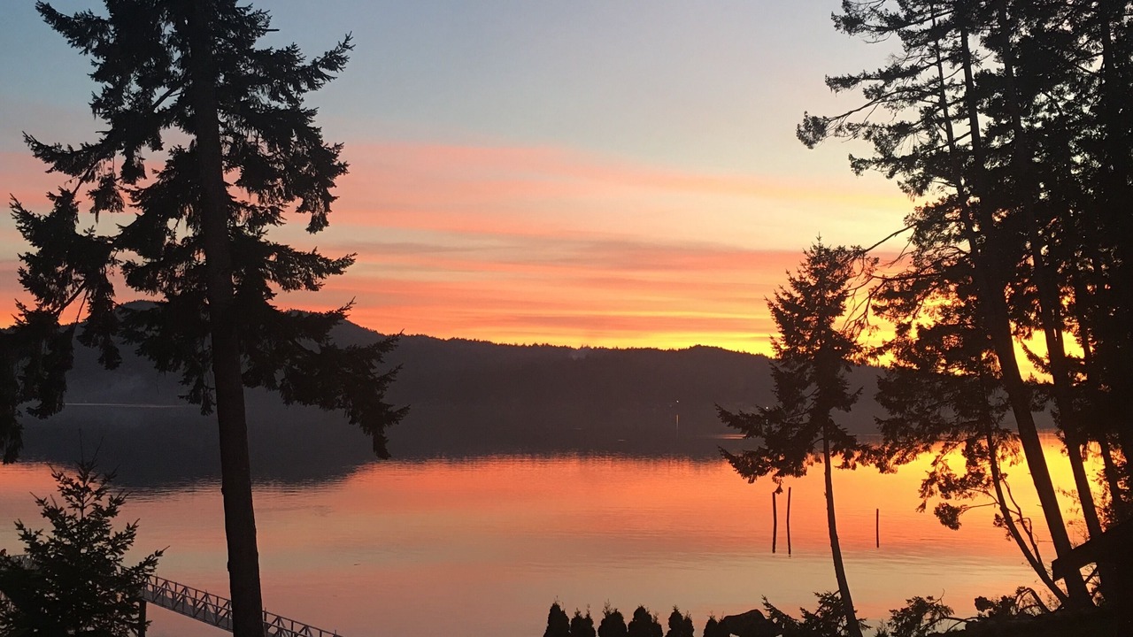 Photo of Others in Sooke