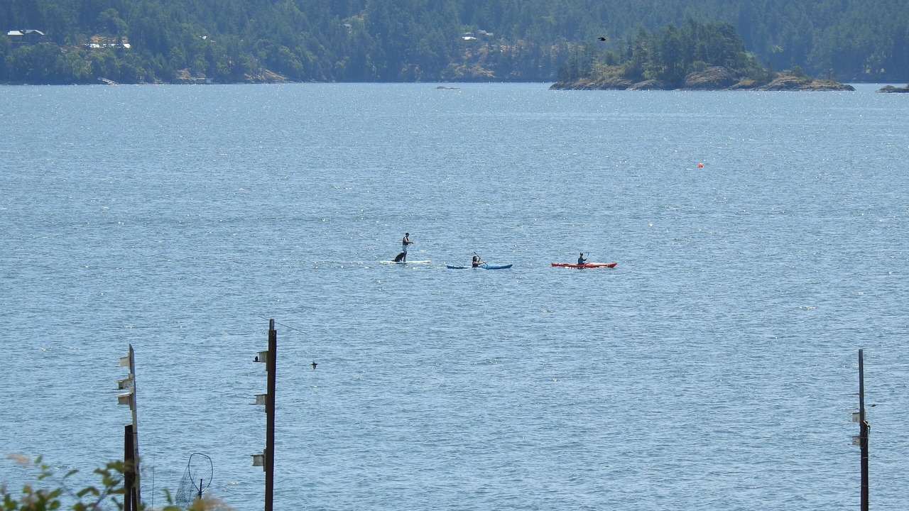 Photo of Others in Sooke
