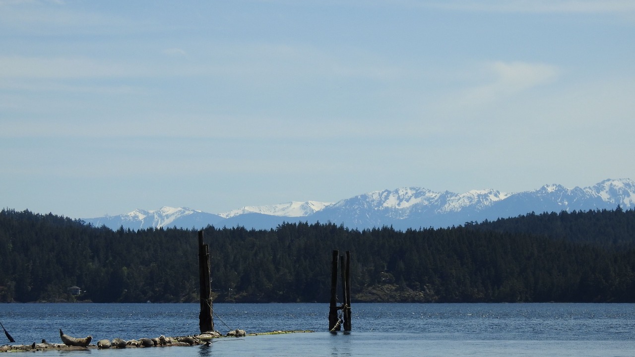 Photo of Others in Sooke