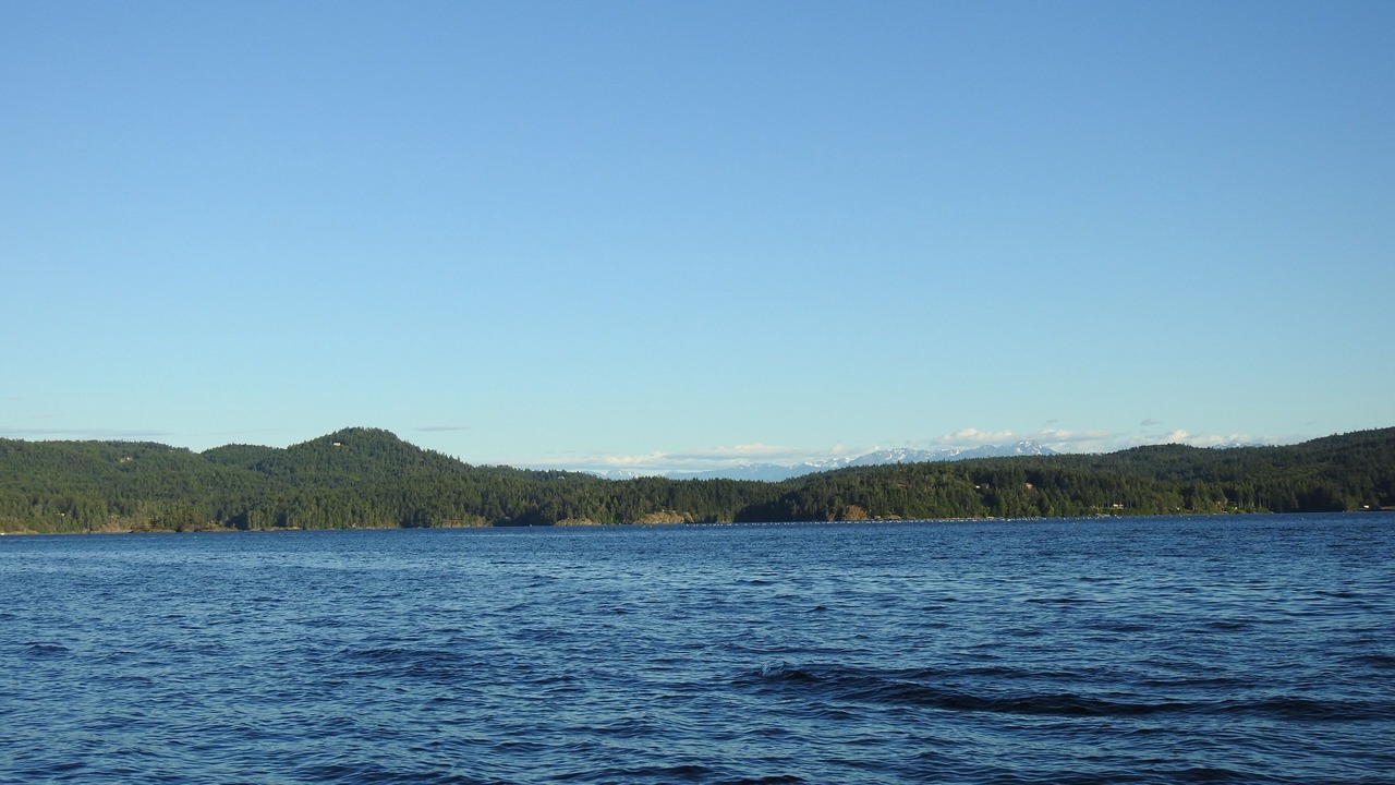 Photo of Others in Sooke