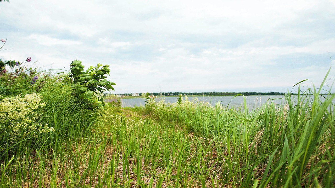 Photo of Outdoor in Brackley Beach