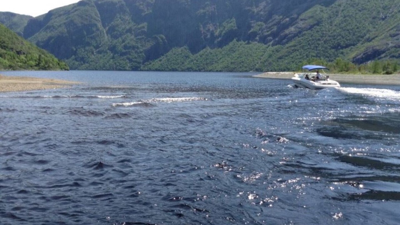 Photo of Others in Trout River