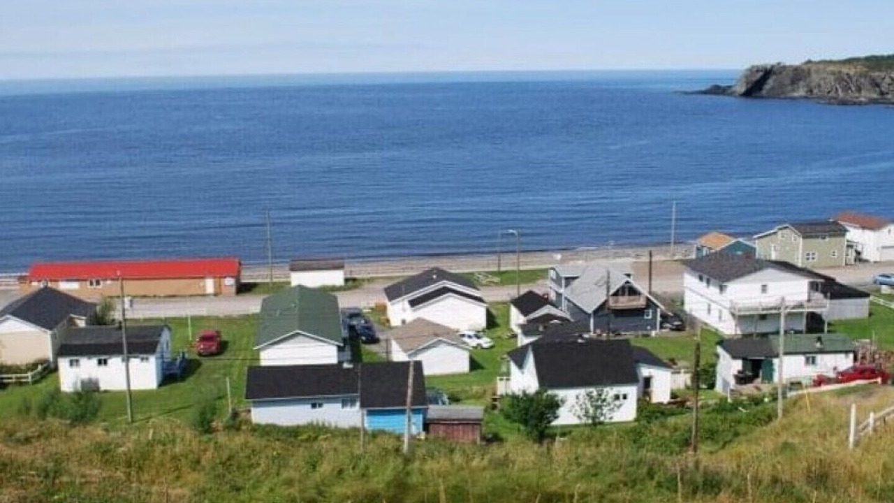 Photo of Outdoor in Trout River
