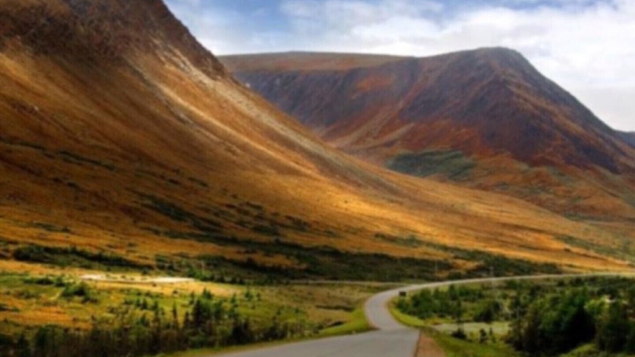 Photo of Others in Trout River