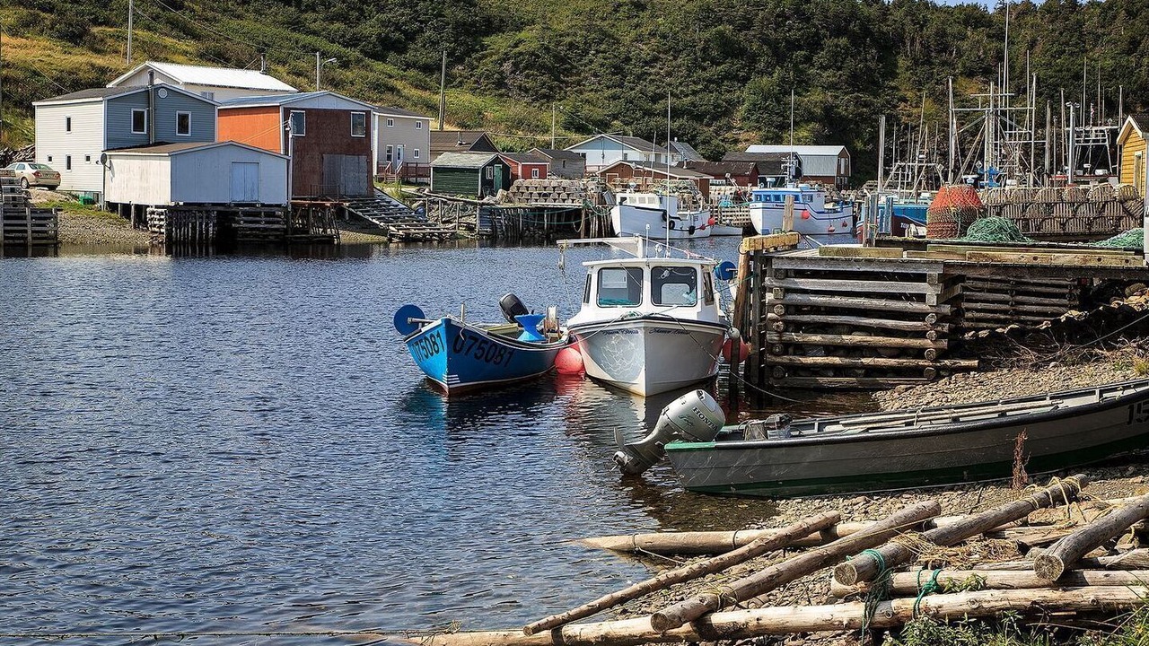 Photo of Others in Trout River