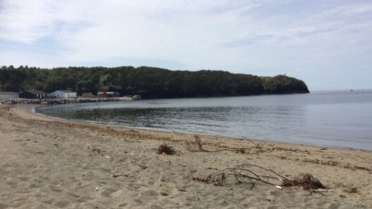 Photo of Others in Trout River