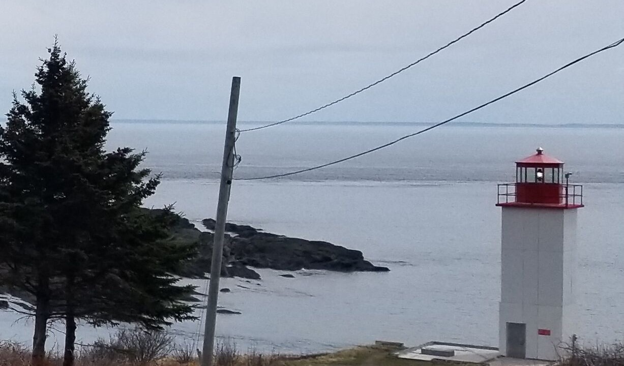 Photo of Others in St. Martins