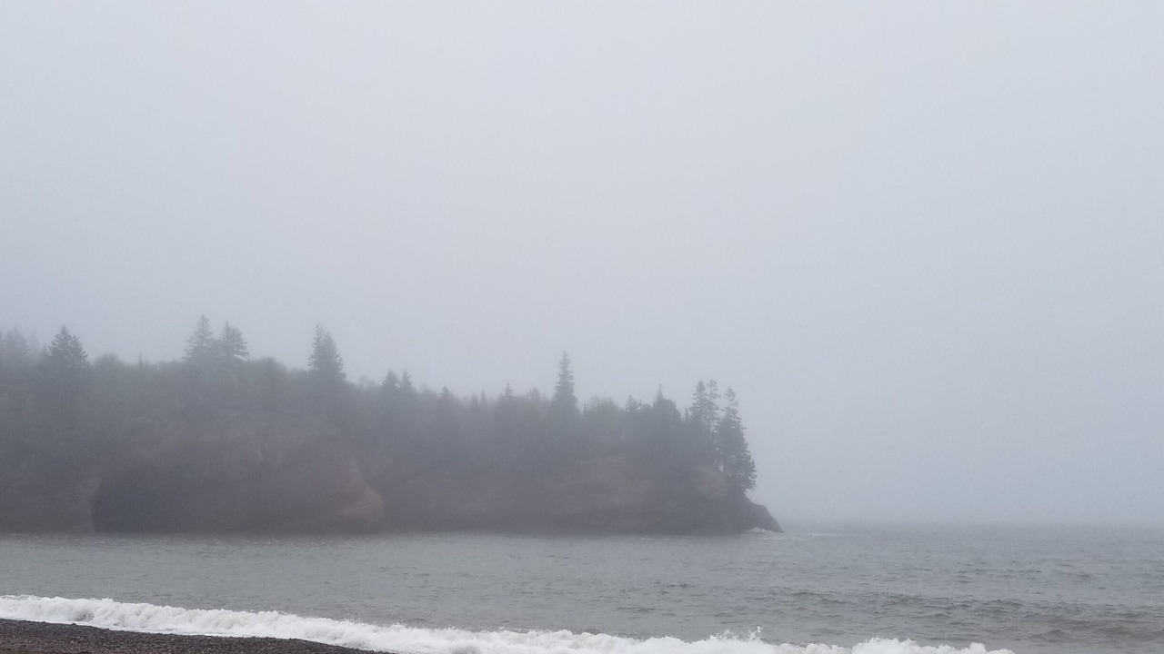 Photo of Others in St. Martins