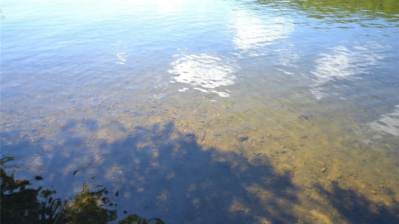 Photo of Outdoor in Haliburton