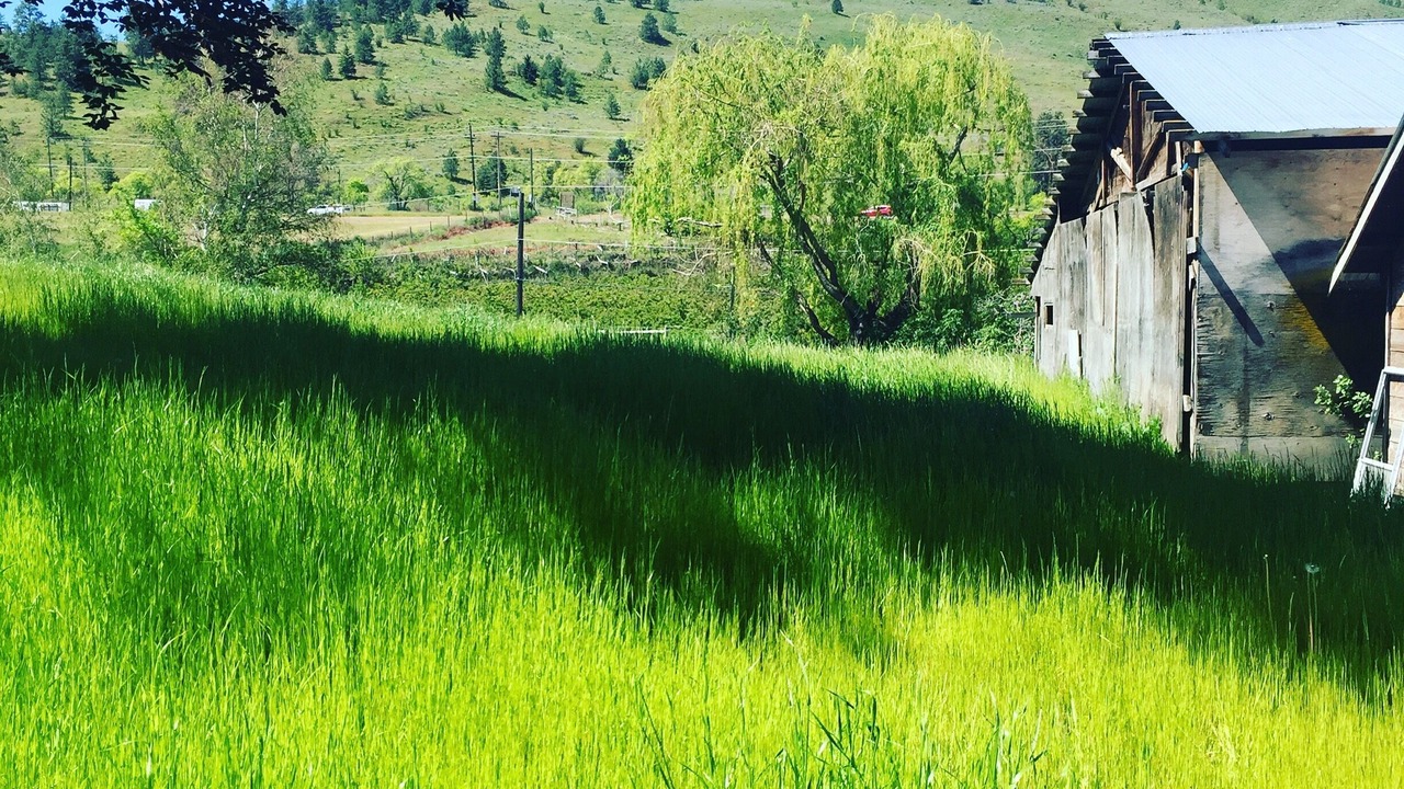 Photo of Others in Okanagan-Similkameen