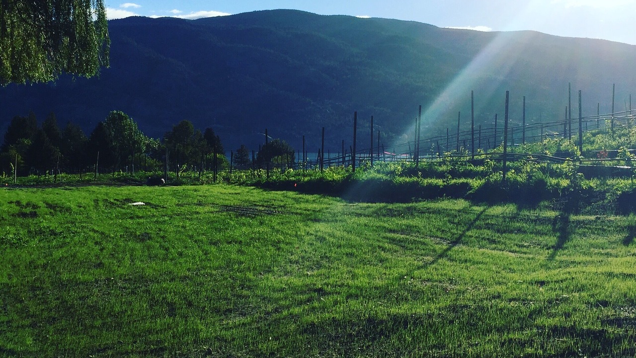 Photo of Outdoor in Okanagan-Similkameen