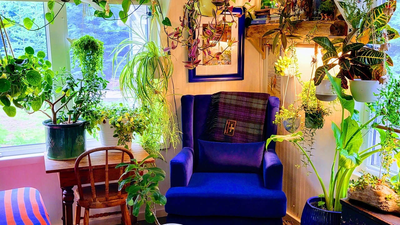 Photo of Livingroom in Belfast