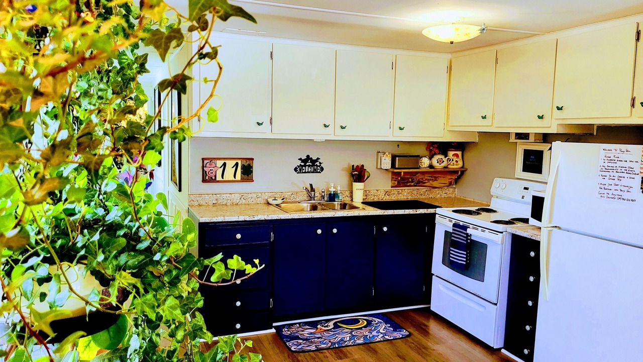 Photo of Kitchen in Belfast
