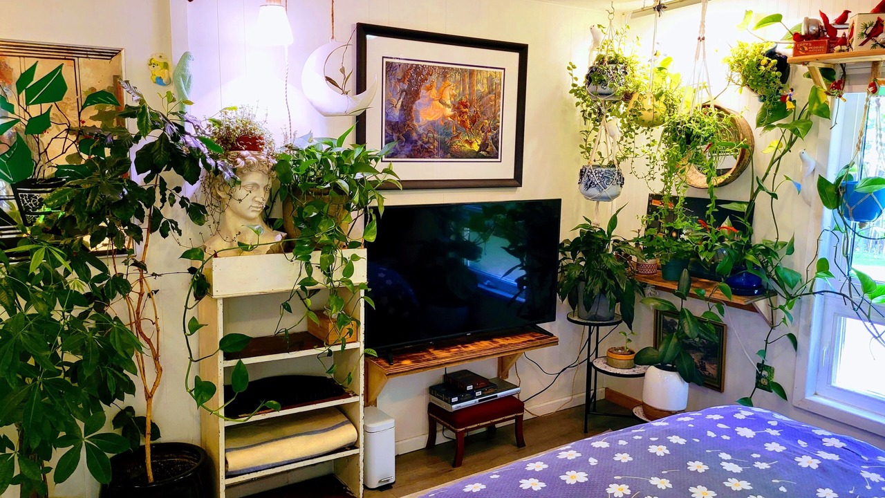 Photo of Bedroom in Belfast