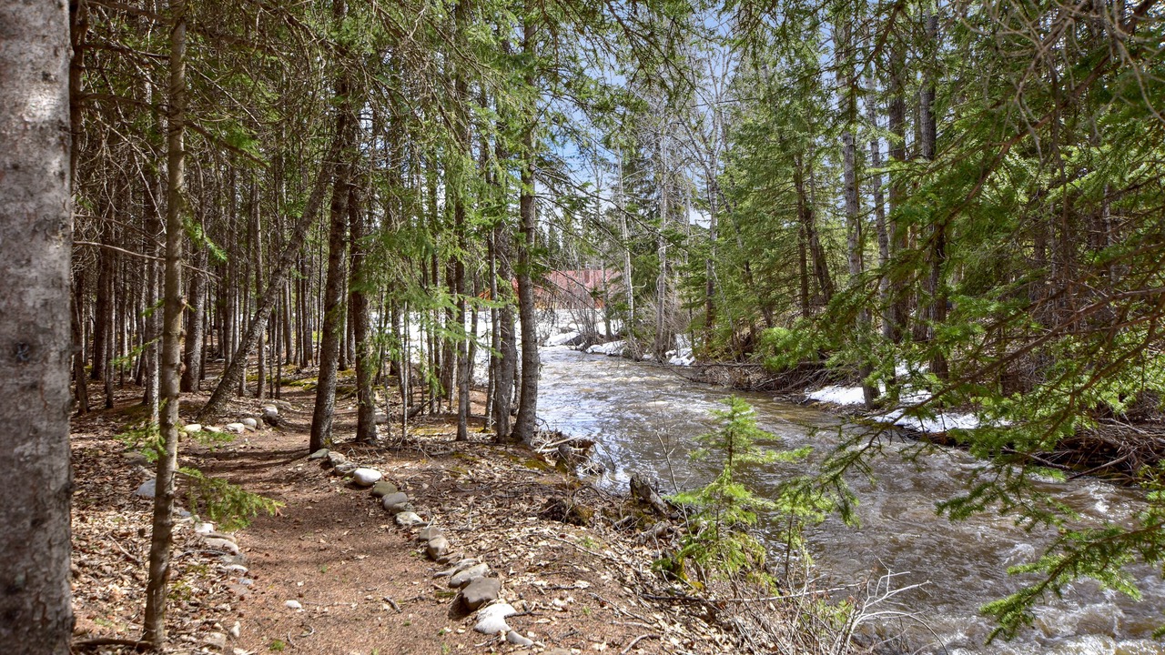 Photo of Outdoor in Bragg Creek