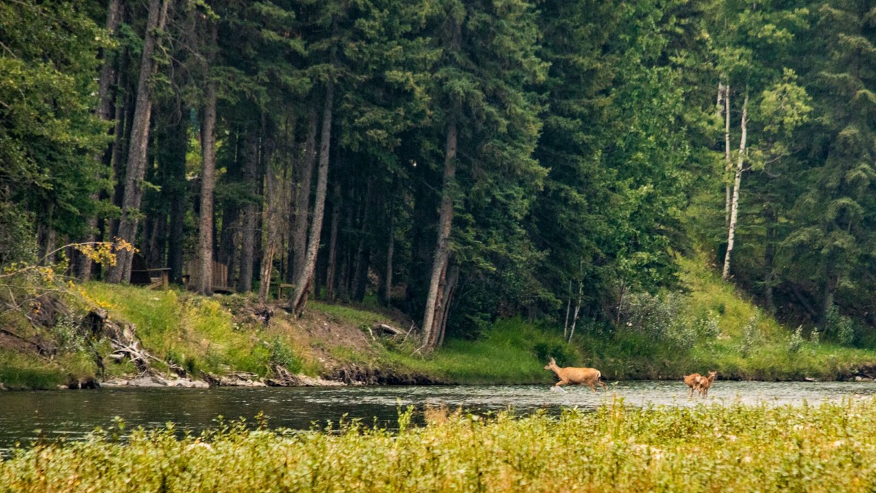 Photo of Outdoor in Bragg Creek