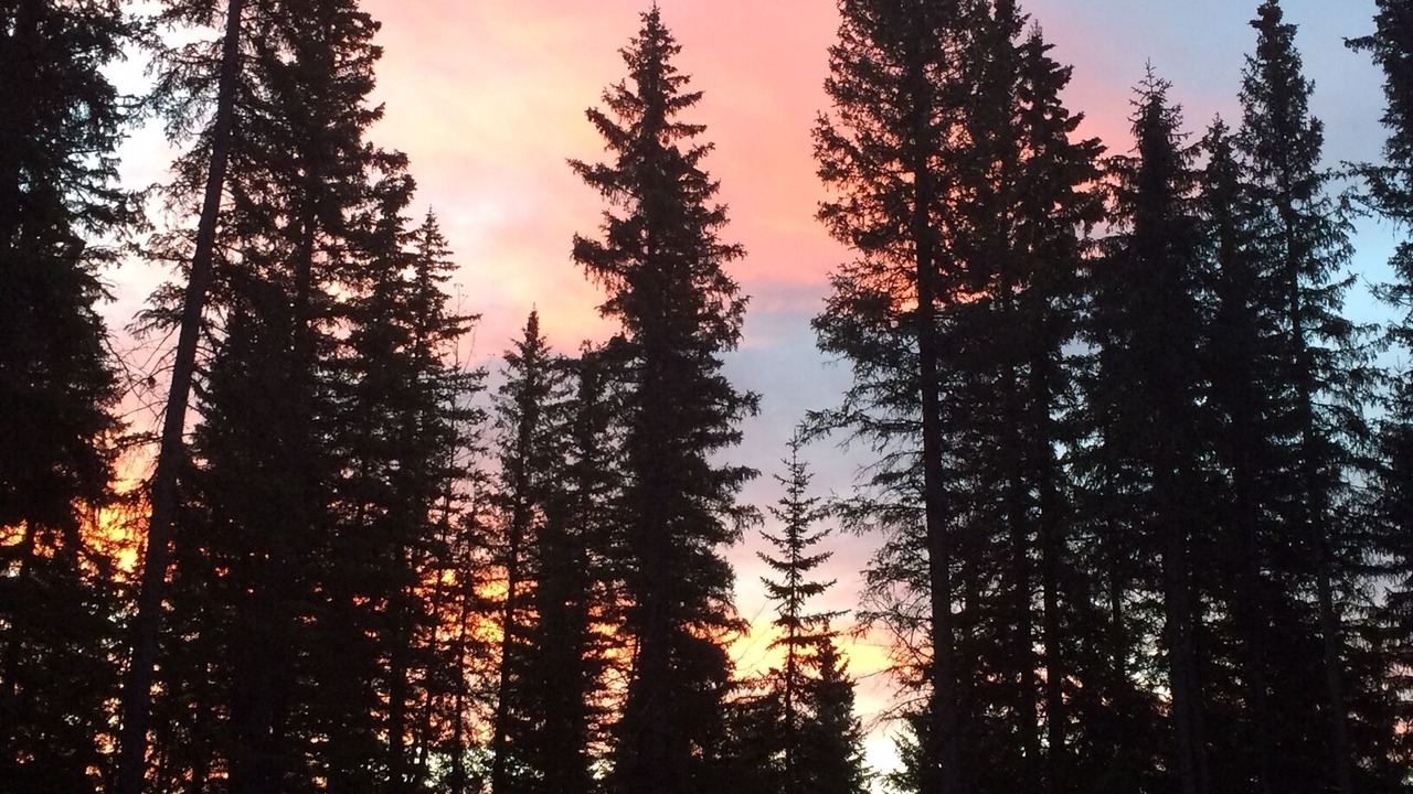 Photo of Others in Bragg Creek