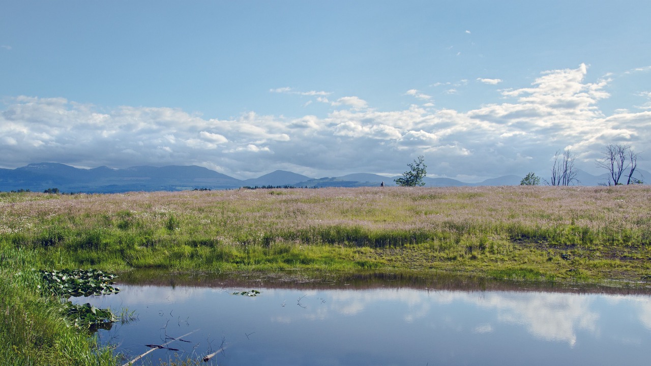 Photo of Outdoor in Regional District of Nanaimo