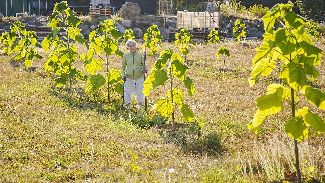 Photo of Outdoor in Regional District of Nanaimo