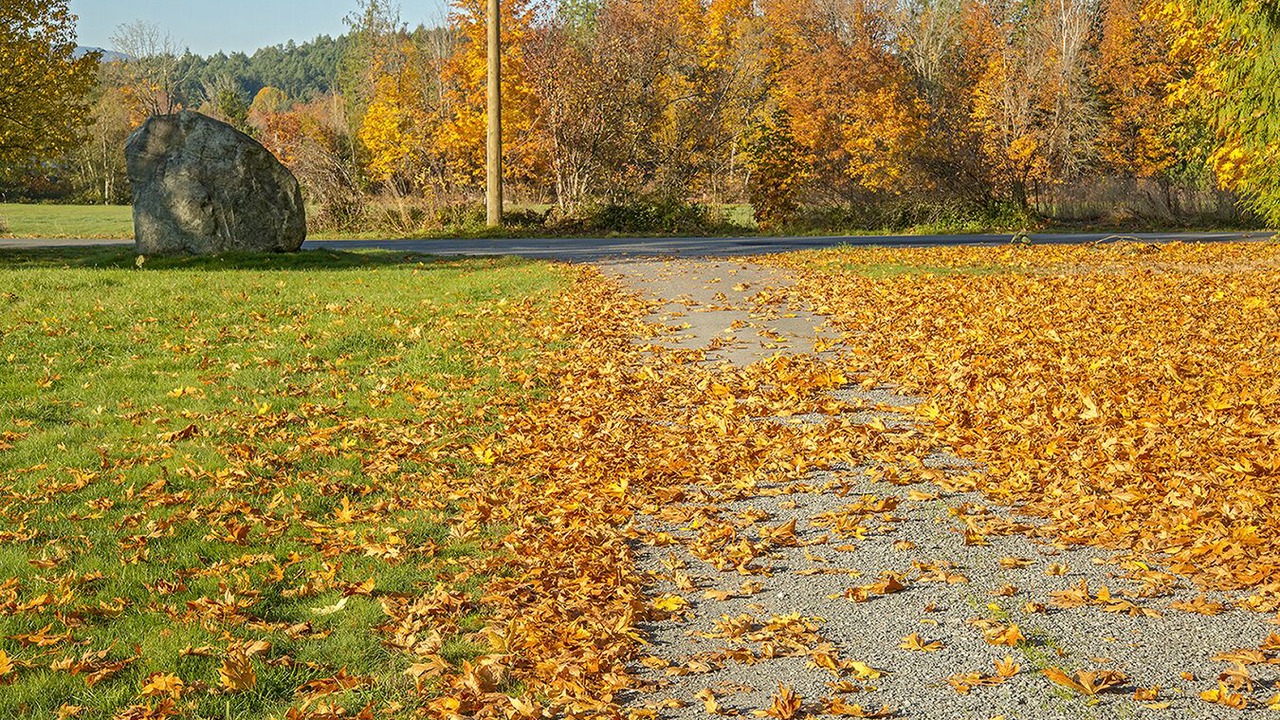 Photo of Outdoor in Regional District of Nanaimo