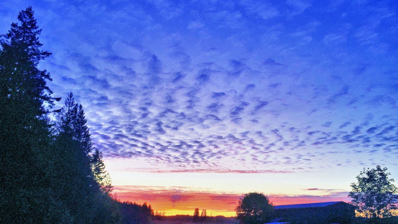 Photo of Others in Regional District of Nanaimo
