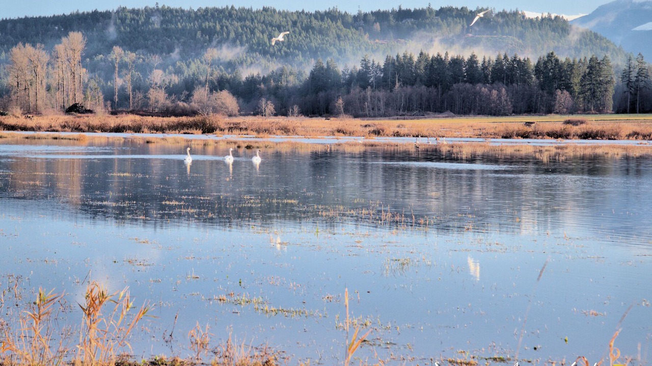 Photo of Outdoor in Regional District of Nanaimo