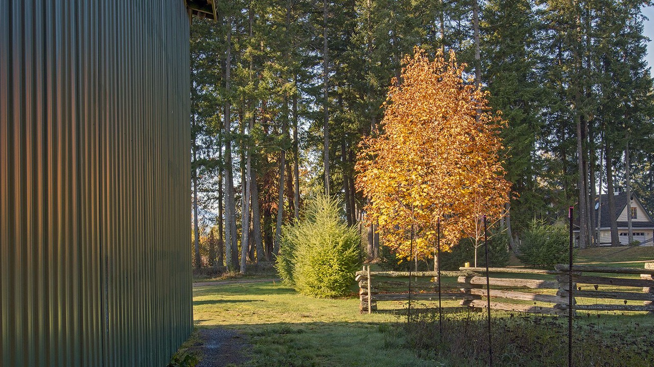 Photo of Outdoor in Regional District of Nanaimo