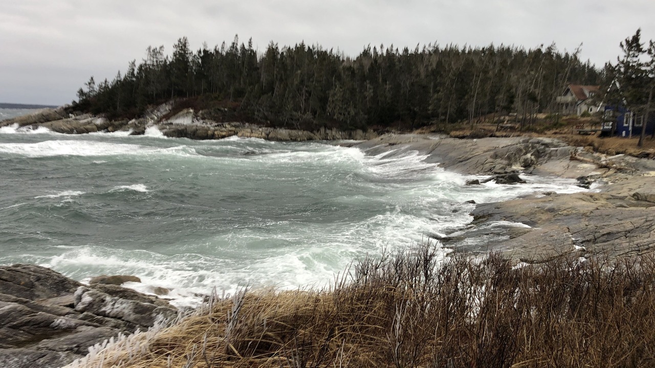 Photo of Others in Southwest Cove