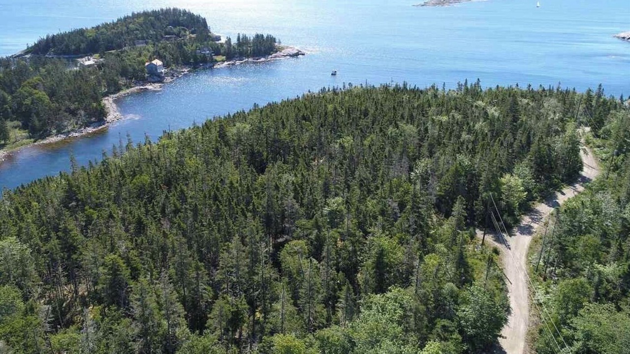 Photo of Others in Southwest Cove