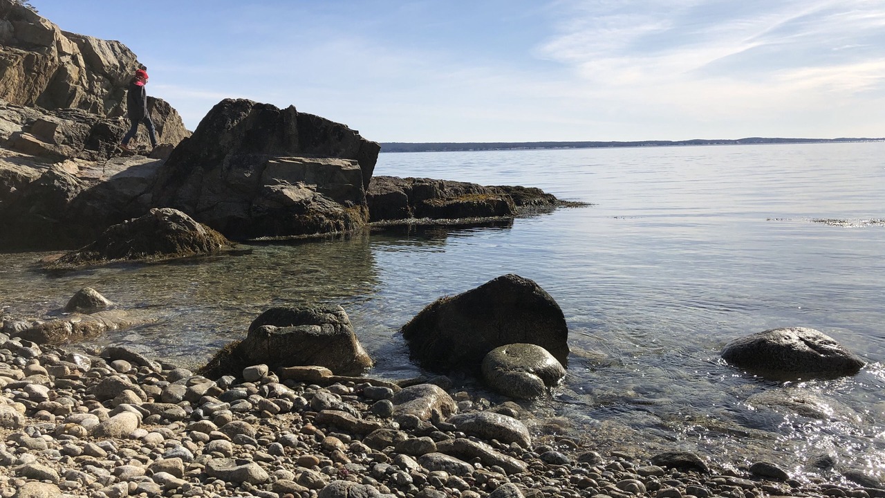 Photo of Others in Southwest Cove