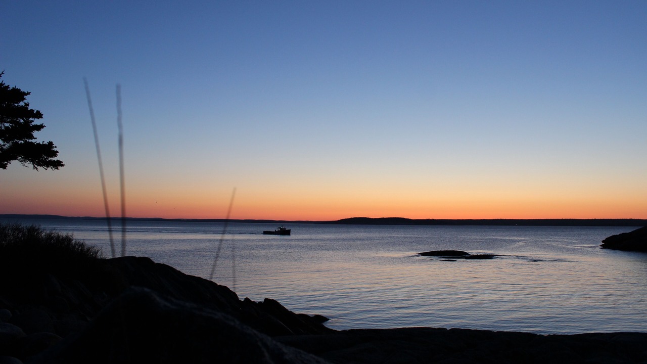 Photo of Others in Southwest Cove