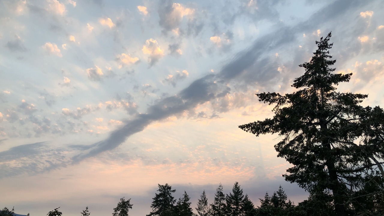 Photo of Others in Regional District of Nanaimo