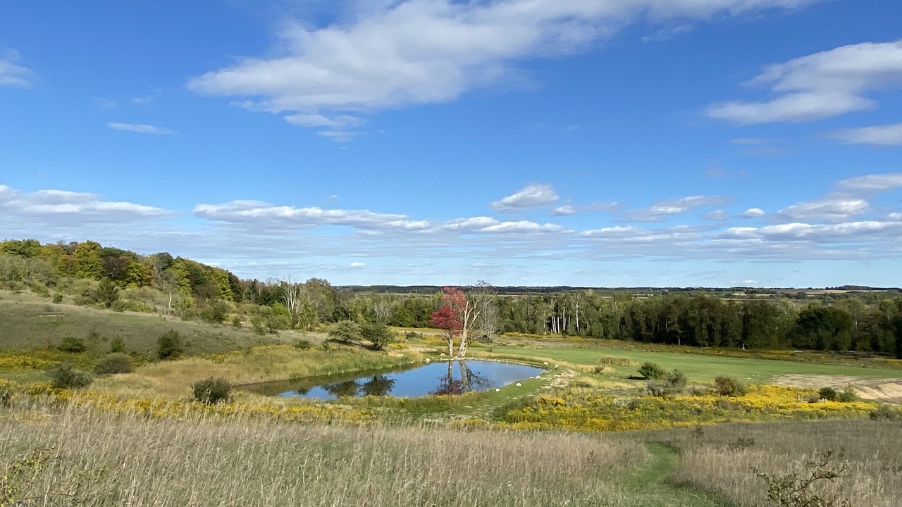 Photo of Others in Scugog
