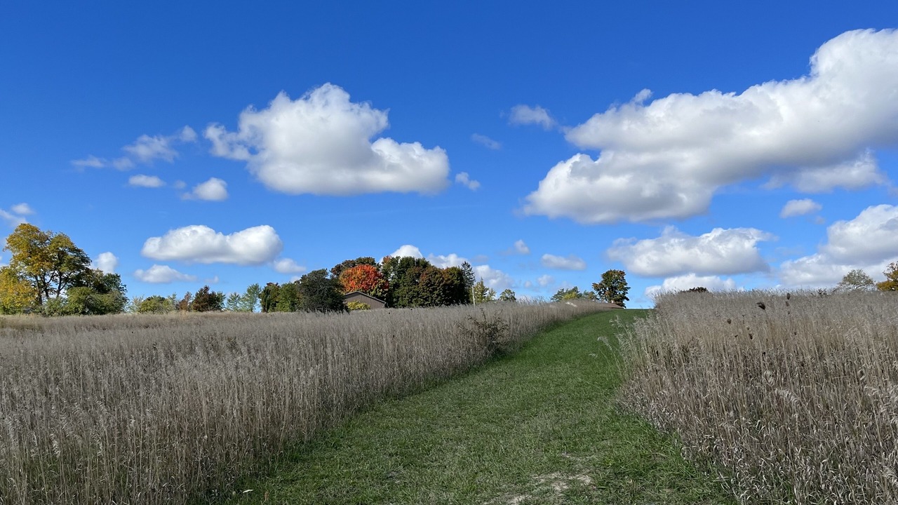 Photo of Others in Scugog