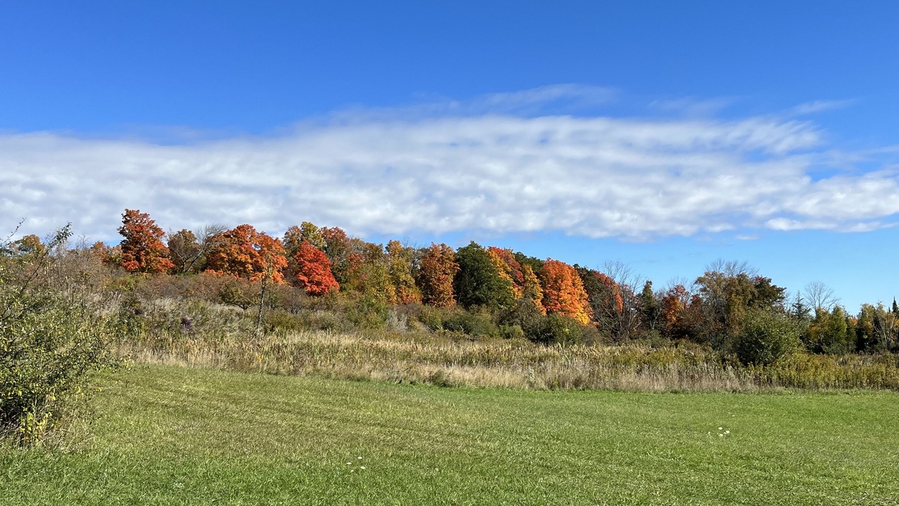 Photo of Others in Scugog