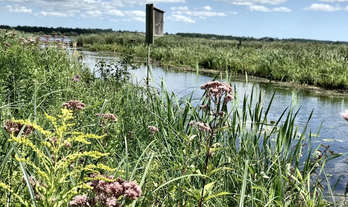 Photo of Outdoor in Scugog