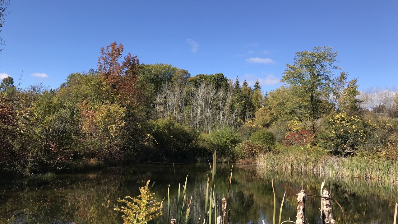 Photo of Outdoor in Scugog
