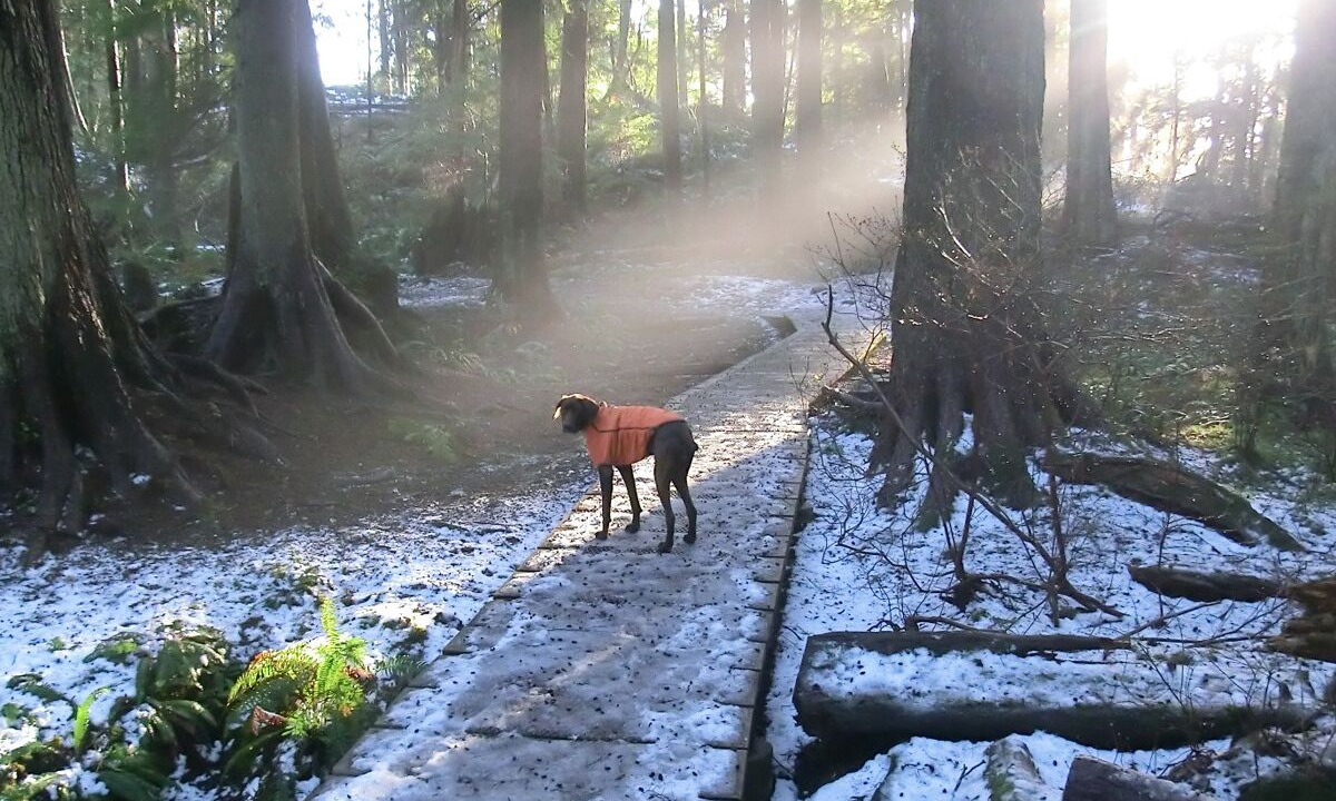 Photo of Others in Deep Cove