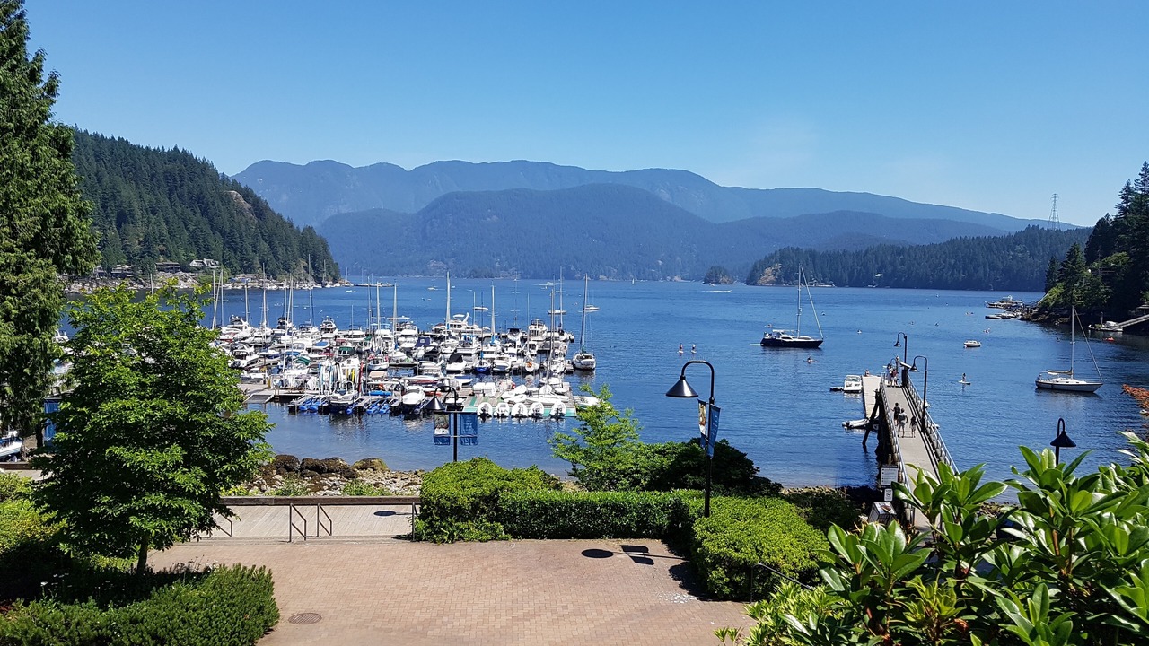 Photo of Others in Deep Cove