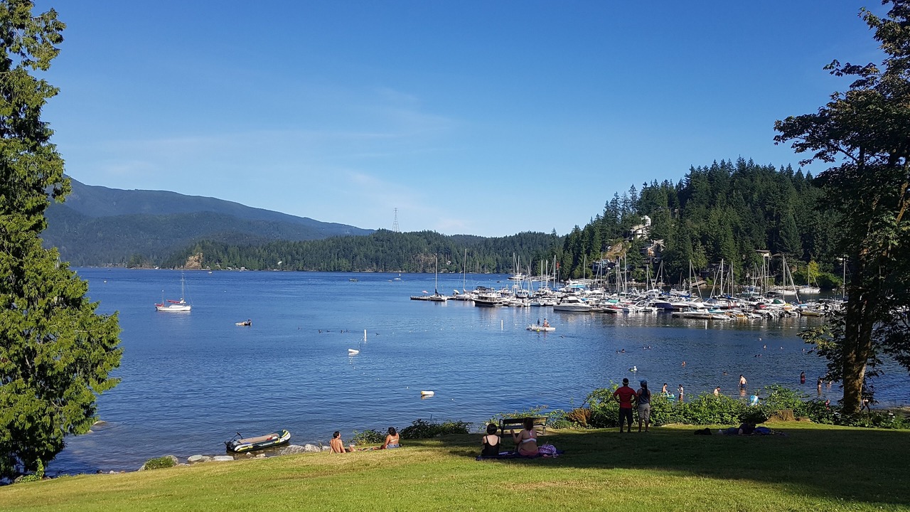 Photo of Others in Deep Cove