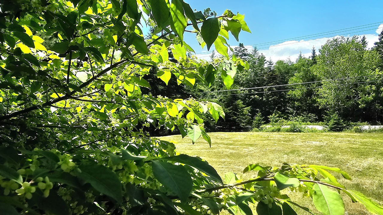 Photo of Outdoor in Chester