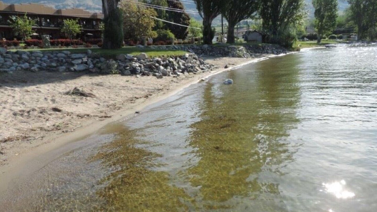 Photo of Others in Okanagan-Similkameen