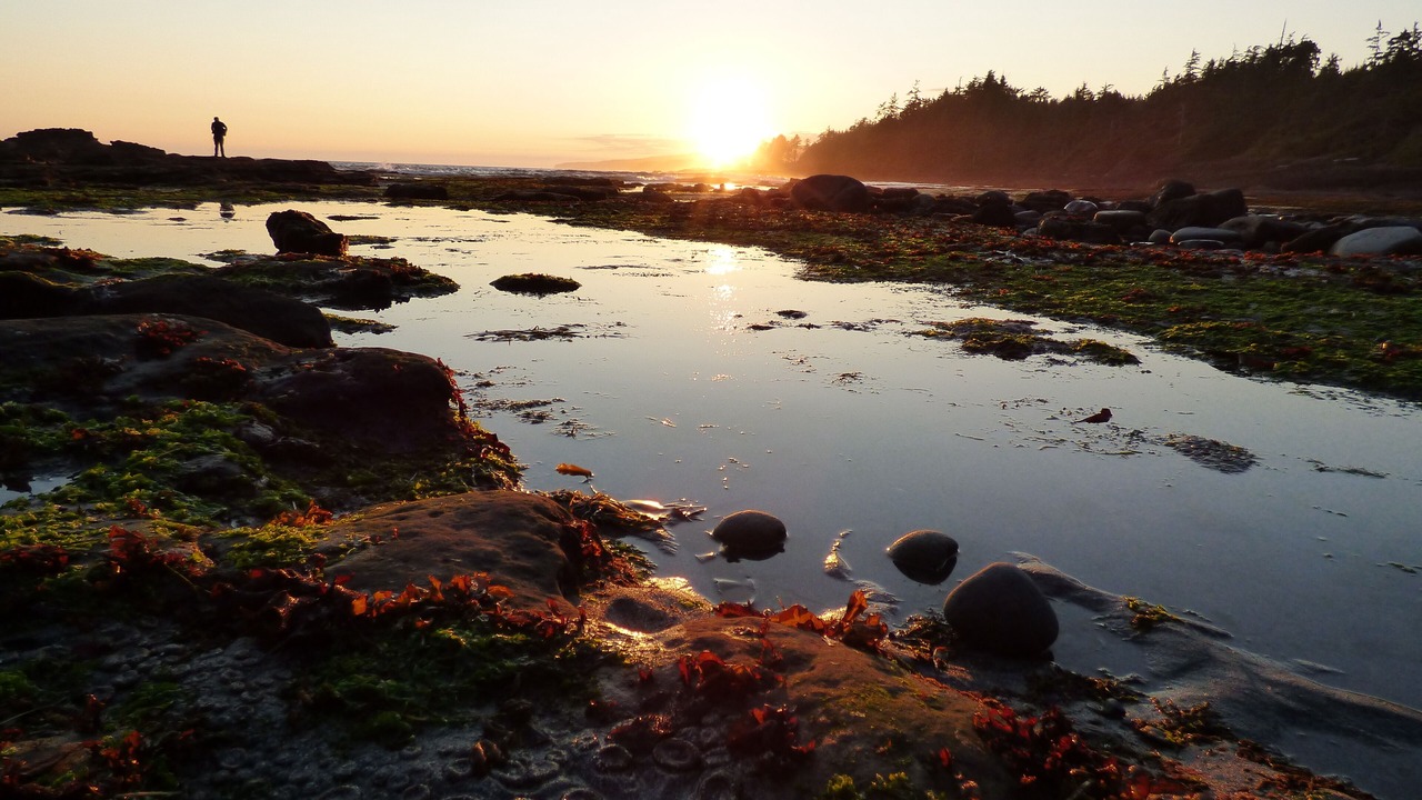Photo of Others in Port Renfrew