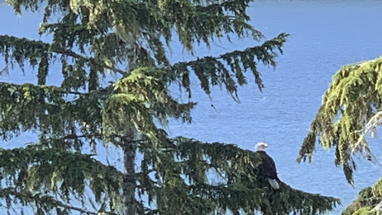 Photo of Patio Balcony in Port Renfrew