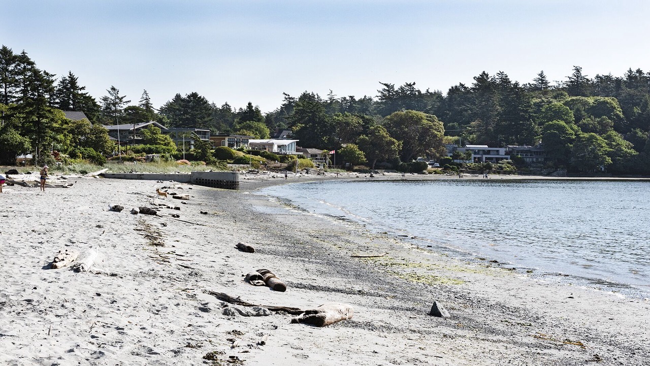 Photo of Others in Saanich East