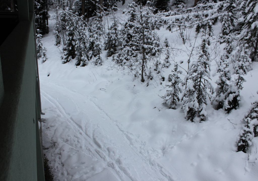 Photo of Others in Sun Peaks