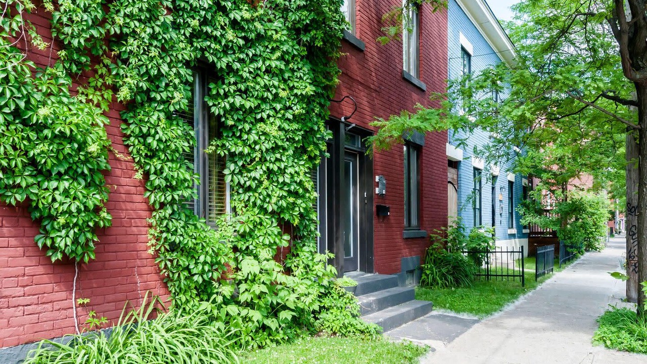 Photo of Outdoor in Pointe-Saint-Charles