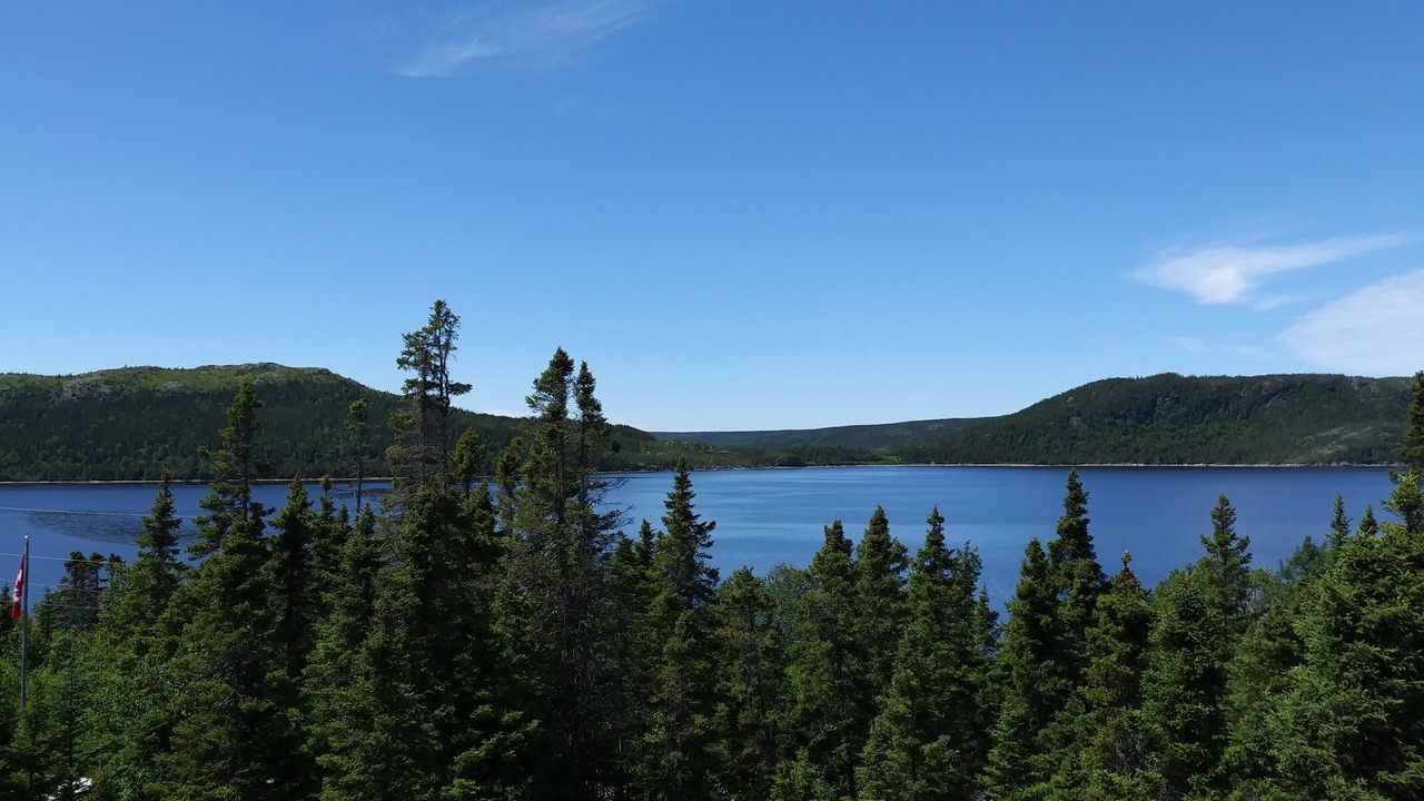 Photo of Others in Terra Nova